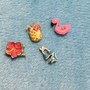 Tropical set! Origami owl charms